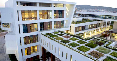 Maxidrain Ekstensif Yeşil Çatı Sistemleri